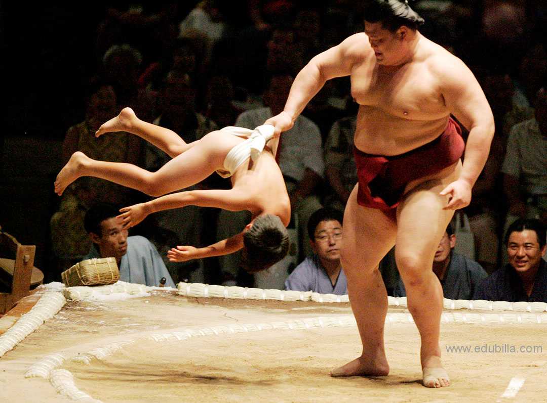 sumo wrestling